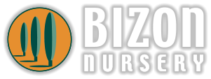 Bizon Nursery